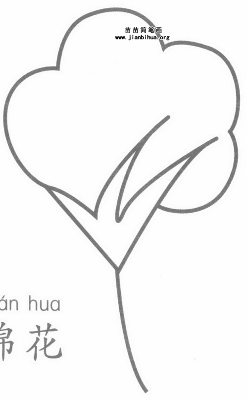 棉花简笔画彩色，广州木棉花简笔画