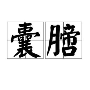 囊膪的读音，囊膪是哪个部位