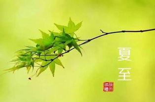 节气谚语