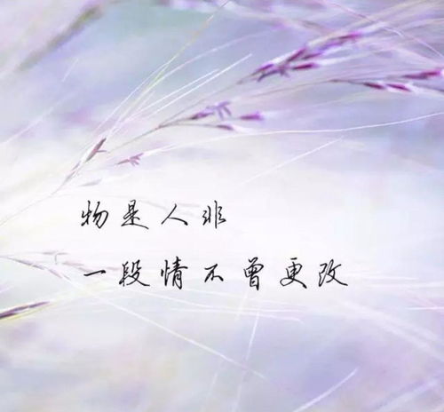 情深似海的意思是什么对夫妻，情深似海下一句怎么样搭配