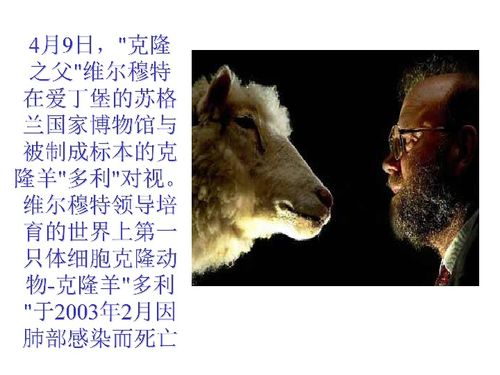 神奇的克隆技术正向人类展示她诱人的前景,有怎样的前景