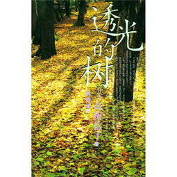 透光的树无删减版电影，透光的树影