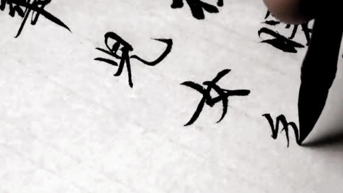 似组词，似的多音字