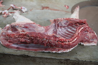 豪猪肉多少一斤钱，豪猪肉怎么去除腥味