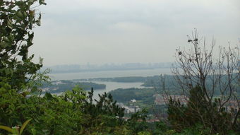 喻家山学校，喻家山在哪里