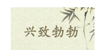 兴致盎然是什么意思