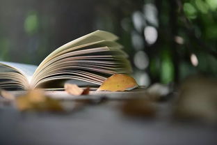 人世无常世事难料下一句，人世无常大肠包小肠