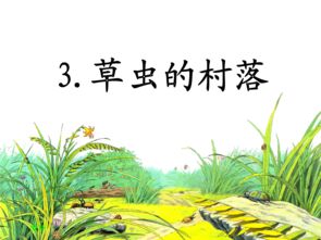草虫的村落阅读理解及答案，草虫的村落是部编版几年级的课文