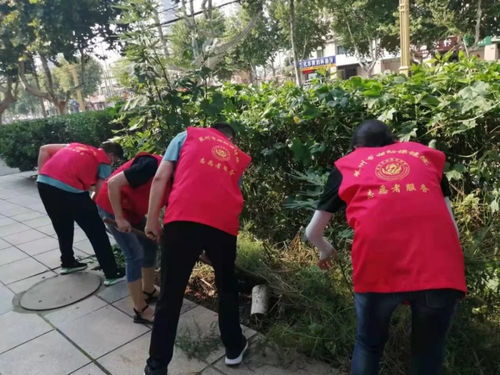 为什么说莱州人心眼多
