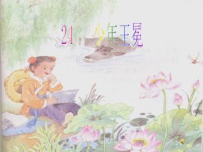 少年王冕的资料