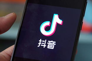 抖音简介,怎么写?