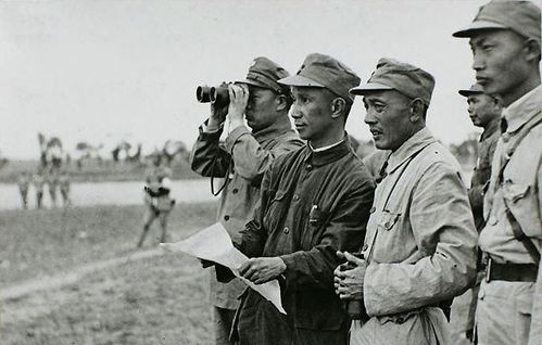 三野石，三野张彬彬