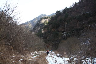 沟谷是什么意思，沟谷和山谷的区别