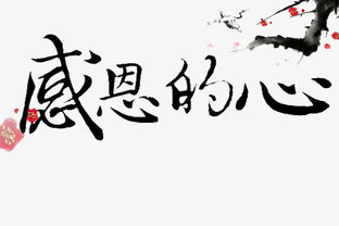 兔宝宝用宸字好不好，宸字一般人压不住吗