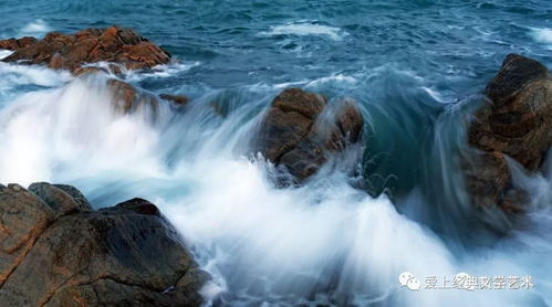 我愿意是急流朗诵，我愿意是急流拼音版原文