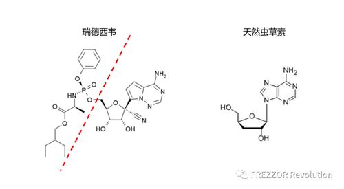 五碳糖有几种 什么是五碳糖