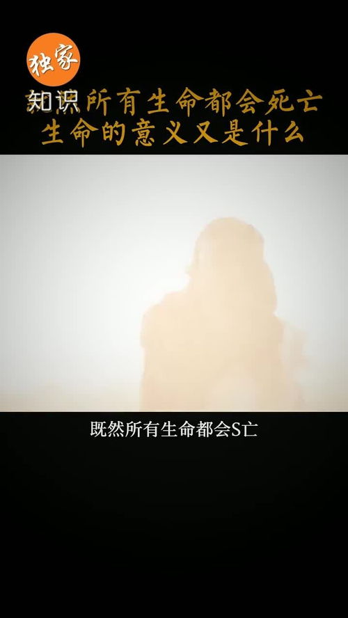 既是什么意思，既然是什么意思 本来