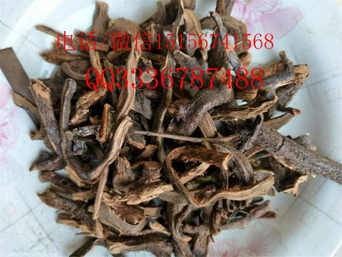 天南星的功效与作用，虎掌南星的功效与作用