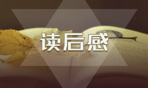 红楼梦读后感作文500字