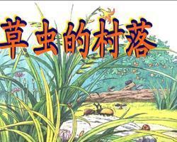 《草虫的村落》作者在草丛的村落里看到了哪些景象?