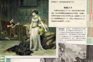 猫城记的读后感100字，猫城记的读后感1000字