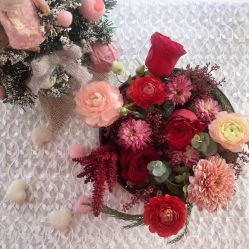 Flora怎么读?
