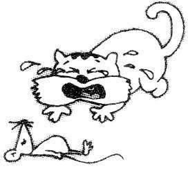 猫哭耗子的后一句是什么?
