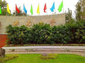 西南大学本科学生转专业管理办法