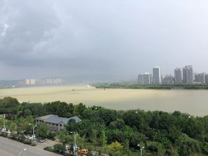 汉中明天天气
