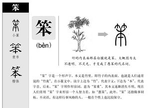 笨怎么读(bèn)笨的意思,笨字组词