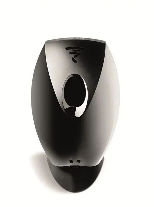FOCAL 和劲浪是什么关系?