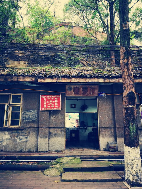 旧地重游是什么意思啊