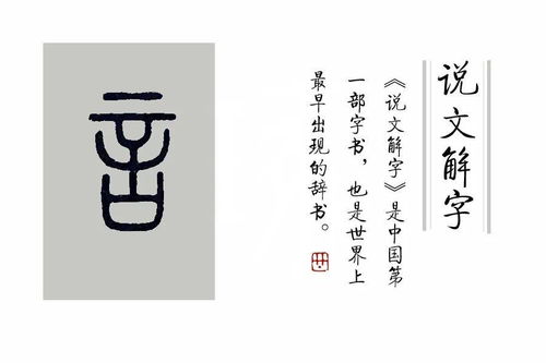 言言汪星人花花，言言by汪星人