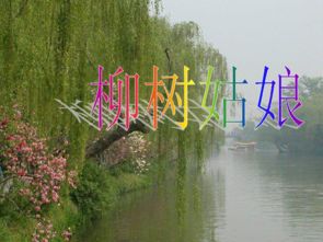 柳树姑娘儿歌是张敏敏写的吗?
