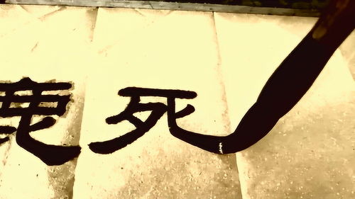 有关鹿成语有哪些