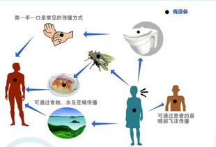 脊髓灰质炎卷土重来,全球多地出现疫情,它的传染性有多高?如何预防