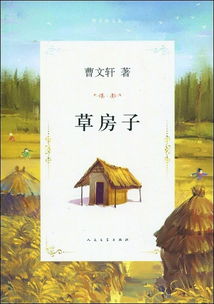 《草房子》的读后感