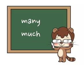 any和some的区别，how many和much的区别
