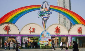 锦江乐园游乐项目有哪些