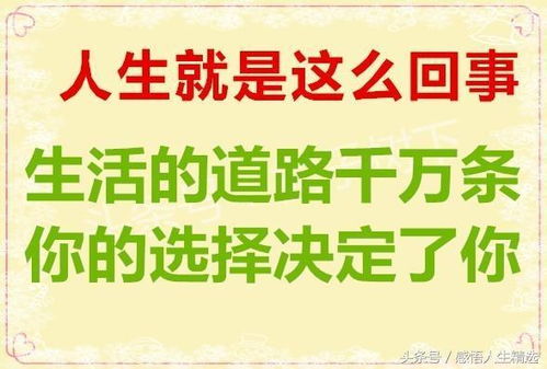 手把文书口称敕翻译，手把文书口称敕,回车叱牛牵向北读音