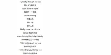 firefly歌词表达意思，Firefly歌词意思