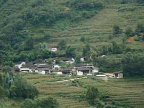 板桥村住宿，板桥村海拔