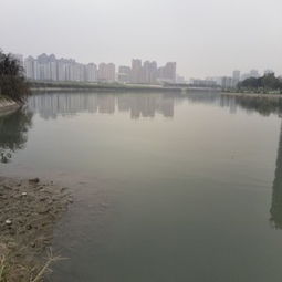 武汉府河湿地公园简介