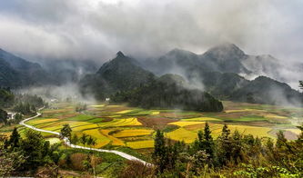 乌池在哪里?