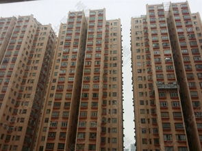 淘大花园事件，淘大花园事件属于线源分布吗