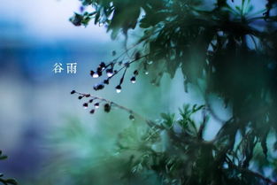 和风细雨是什么意思
