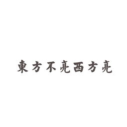 表示“亮”的成语有什么?