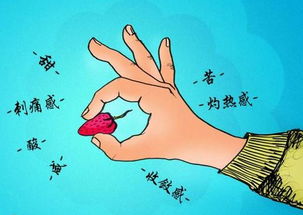 形容味道好的成语ABB，形容味道好的成语或诗句