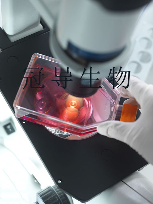 aggressively-priced是什么意思