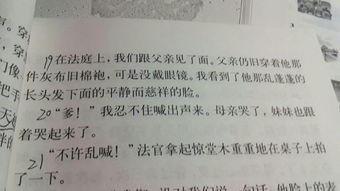乱蓬蓬拼音意思，乱蓬蓬拼音怎么说